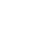 shopping-bag1